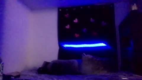 Snapshot of nadiabella07 chatting on February 2026 08:13:01 AM Missbellaaaxox online show from February 2026 08:13:01 AM