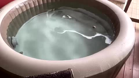 Sexyhotpapa online show from December 2024 11:12:02 AM