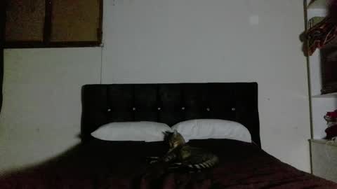 Nahomy online show from April 2026 02:23:02 AM