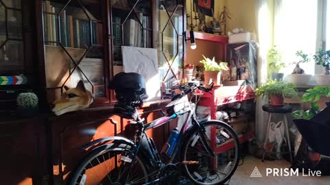 Naked Naturist online show from April 2026 06:47:02 AM