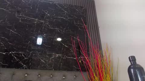 NALAROY online show from January 2025 03:16:02 PM