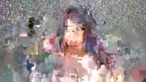 Lady online show from April 2026 05:54:01 PM