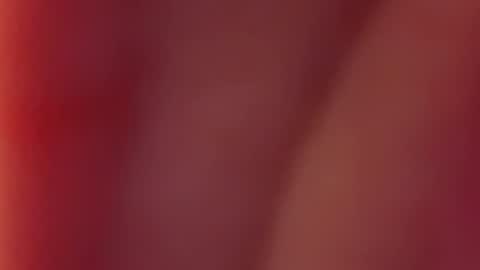 Snapshot of nancy_witch chatting on December 2024 07:52:02 AM Nancy and Archi online show from December 2024 07:52:02 AM