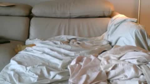 nassobout online show from December 2025 05:18:02 PM