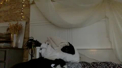 nastyloveparis online show from March 2026 06:52:01 AM