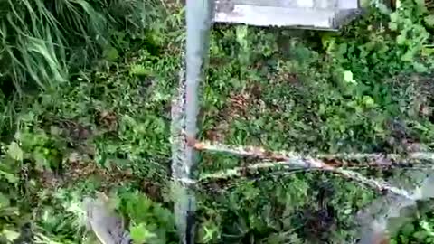 nata1974 online show from October 2025 03:35:02 PM