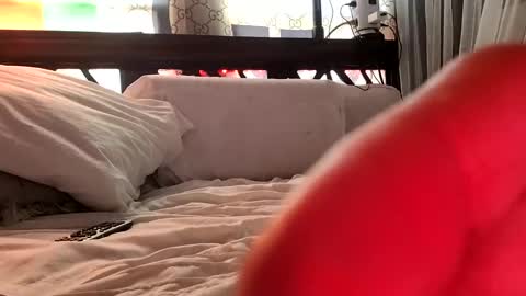 Snapshot of nativeboi22 chatting on February 2025 05:03:02 PM Haven online show from February 2025 05:03:02 PM