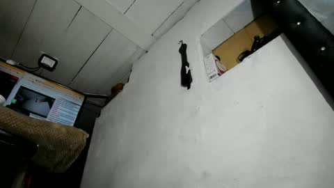 Snapshot of nattasha_foxx chatting on June 2026 02:09:02 AM natalia online show from June 2026 02:09:02 AM