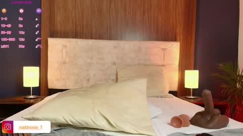 Snapshot of nattrose_ chatting on May 2026 09:22:02 PM Natt online show from May 2026 09:22:02 PM