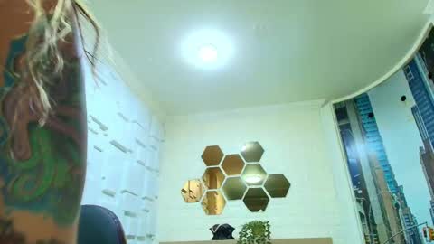 Kitten online show from February 2026 10:43:01 AM