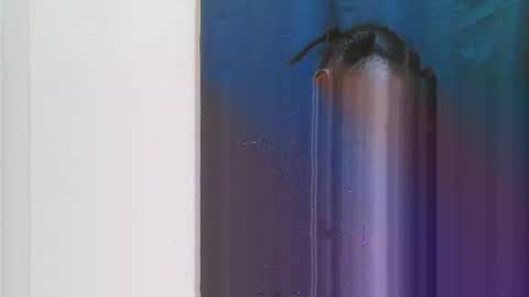 jn online show from March 2026 06:29:01 PM