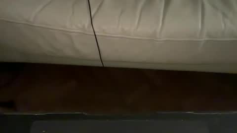 navigatingtothesky online show from November 2025 11:48:01 PM