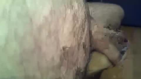 ncbncb online show from November 2025 02:44:01 PM