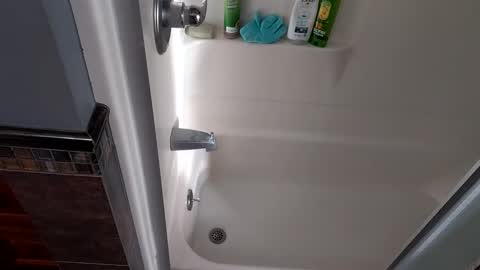 needsub online show from November 2025 09:50:01 PM