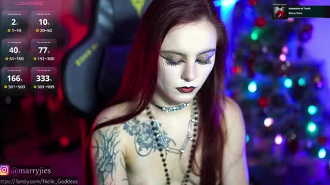 Snapshot of nelle_ chatting on December 2024 01:14:01 PM online show from December 2024 01:14:01 PM