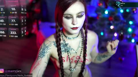 Snapshot of nelle_ chatting on December 2024 04:19:01 PM online show from December 2024 04:19:01 PM