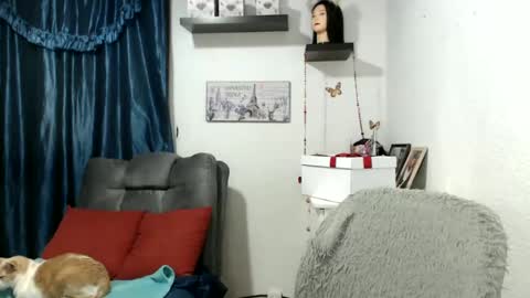 Star  online show from January 2025 03:37:01 AM