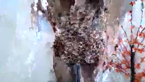 Crystal New online show from January 2026 07:46:01 AM