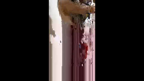 Snapshot of nermigarciaaguilar314 chatting on June 2026 11:55:01 PM nermigarciaaguilar314 online show from June 2026 11:55:01 PM