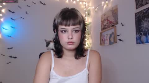 Mar online show from November 2025 06:47:01 AM