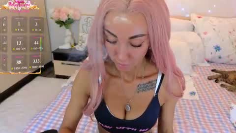 never give up  online show from July 2026 01:50:01 PM