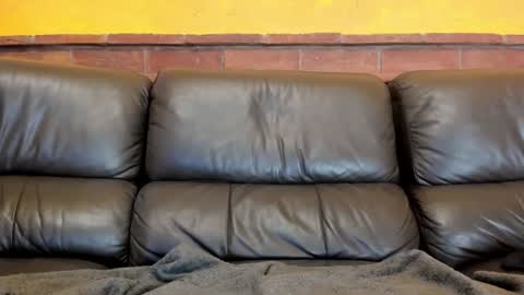 Snapshot of new_matilda chatting on December 2024 05:18:02 PM Matilda online show from December 2024 05:18:02 PM