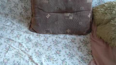 Lilly  online show from February 2025 09:43:02 AM