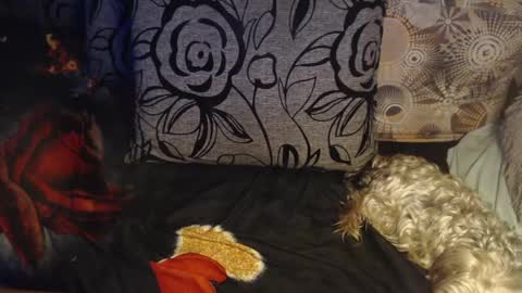 Lilly  online show from April 2026 03:15:02 AM