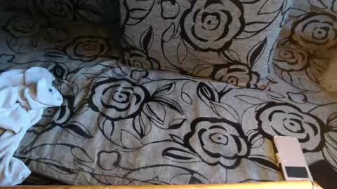 Lilly  online show from April 2026 04:07:01 PM