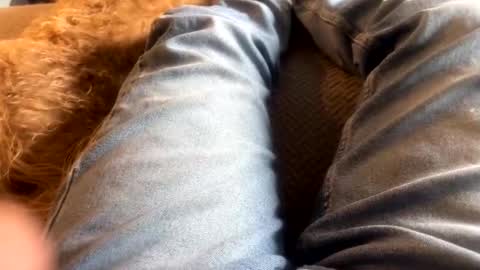 newjerseyhorny online show from December 2024 07:10:01 PM