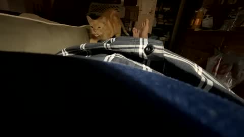 Snapshot of ngianop chatting on October 2025 07:40:01 AM ngianop online show from October 2025 07:40:01 AM