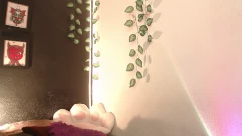  niakat  online show from January 2026 03:10:01 AM