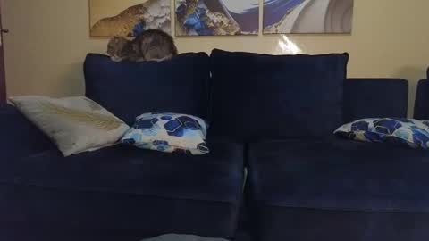 Lilly online show from February 2025 09:48:02 PM