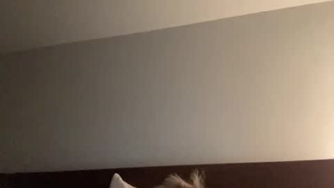 Nice Gentle Naughty online show from December 2024 11:34:02 AM