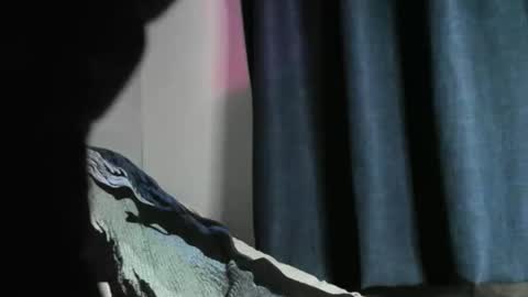 Snapshot of nicebbc7 chatting on December 2024 05:56:01 AM Black Tarzan online show from December 2024 05:56:01 AM