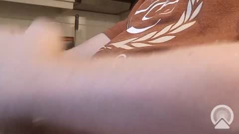 Snapshot of nick_x_b chatting on December 2024 05:19:01 PM nick_x_b online show from December 2024 05:19:01 PM