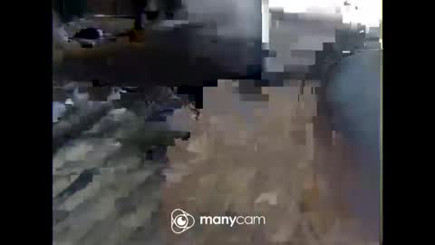 Nick online show from February 2026 02:06:01 PM