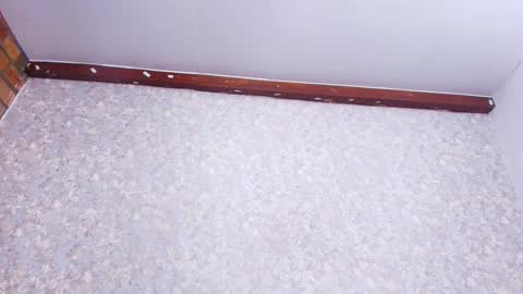 Nicol online show from November 2025 03:05:02 AM