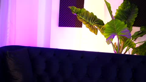 Sarah online show from December 2024 11:35:02 PM