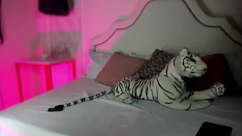 nicole online show from February 2026 03:05:01 PM