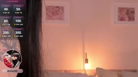 NINAINK online show from November 2025 01:11:01 PM