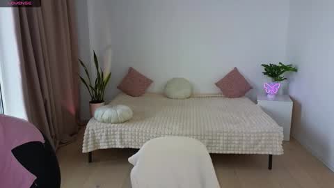 Nika light online show from November 2025 11:14:01 AM