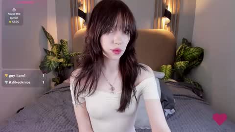 Nikki online show from December 2025 03:10:01 PM