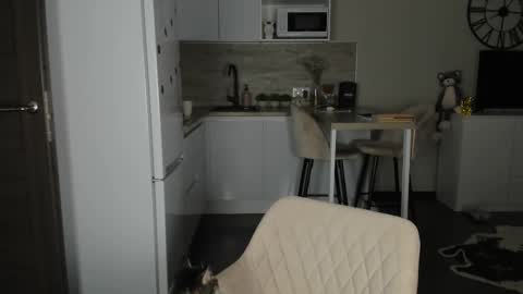 Bella online show from February 2026 12:55:01 AM