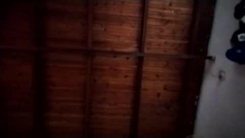 Snapshot of nimapolo chatting on November 2025 10:30:01 PM nimapolo online show from November 2025 10:30:01 PM