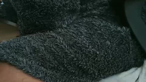 nineinchhard online show from October 2025 10:39:02 AM