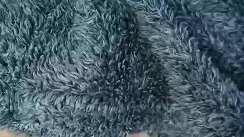 Snapshot of nineinchhard chatting on February 2026 10:55:02 AM nineinchhard online show from February 2026 10:55:02 AM