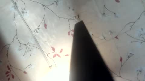 Snapshot of nitchiefucker chatting on May 2026 10:55:02 AM Nadz online show from May 2026 10:55:02 AM