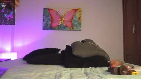 noah_0814 online show from October 2025 03:14:01 AM