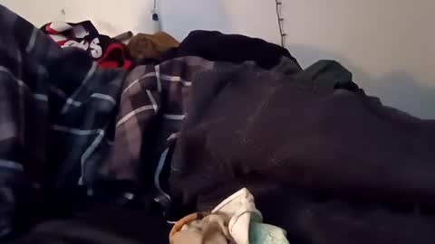 Snapshot of noah_wesley chatting on December 2024 07:16:01 AM Noah Wesley online show from December 2024 07:16:01 AM